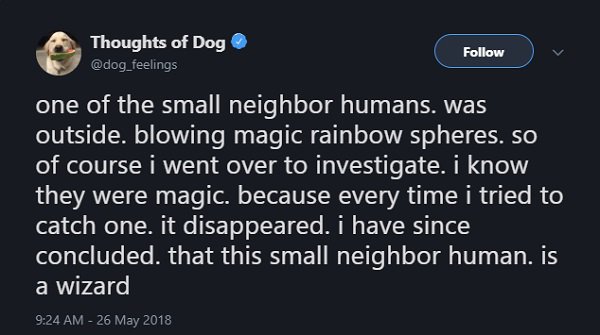 Thoughts of Dog one of the small neighbor humans. was outside. blowing magic rainbow spheres. so of course i went over to investigate. i know they were magic. because every time i tried to catch one. it disappeared. i have since concluded. that this small