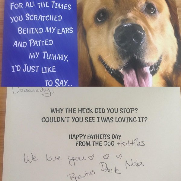 photo caption - For All The Times You Scratched Behind My Ears And Patted My Tummy, I'D Just To Say.. Daaaaady, Why The Heck Did You Stop? Couldn'T You See I Was Loving It? Happy Father'S Day From The Dog kitties you a We love Pate Nola Breutus