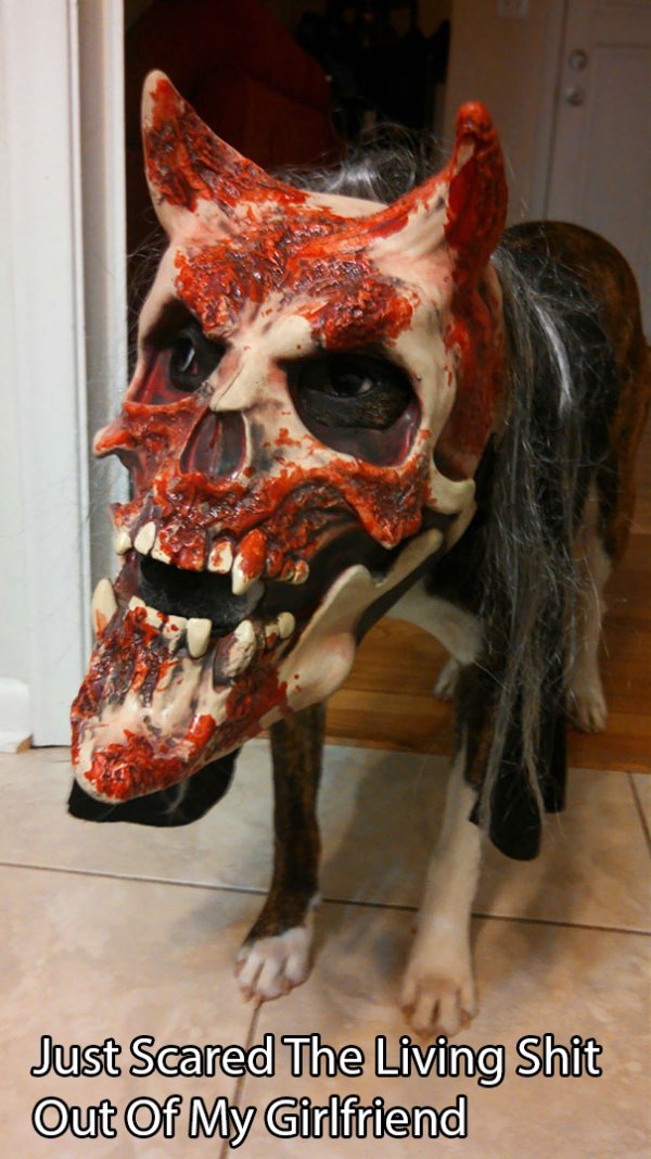 dog skull demon - Just Scared The Living Shit Out Of My Girlfriend