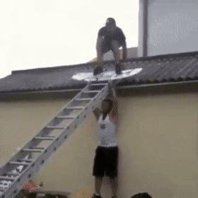 31 people doing really stupid things