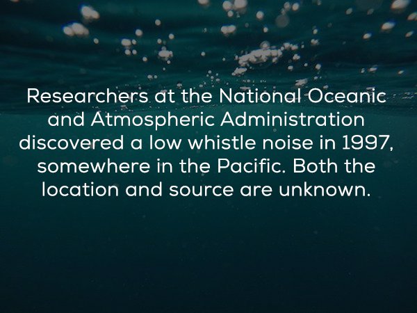 20 mysterious facts from under the water