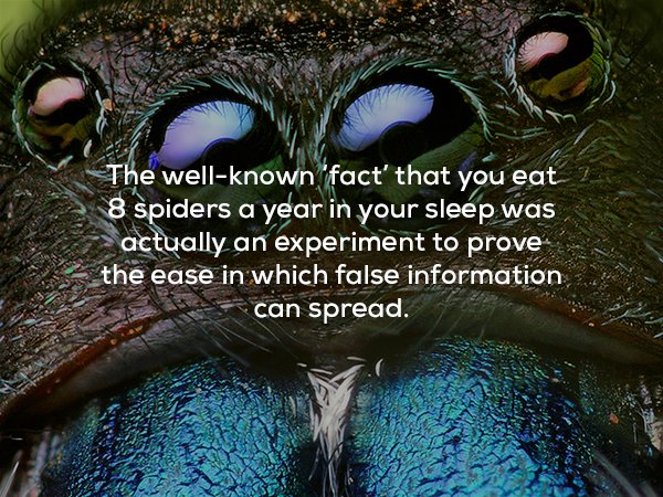 22 Disturbing Facts That Will Creep You Out