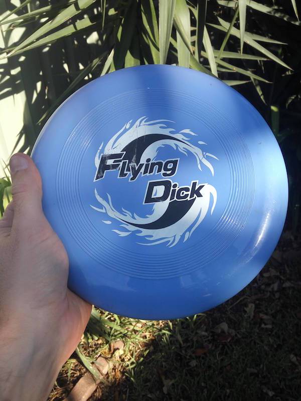 you had one job frisbee - Flying Dick