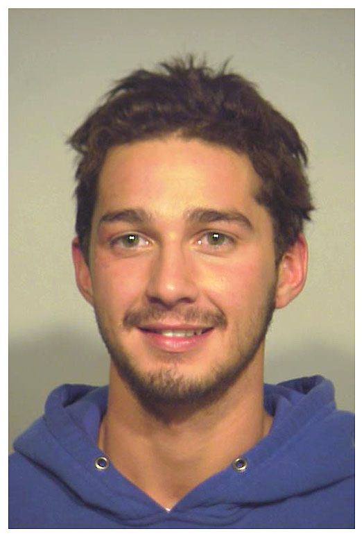 Shia LaBeouf was arrested in November 2007 after he refused to leave a Chicago Walgreens. The 21-year-old LaBeouf, who appeared to be intoxicated, was popped after he ignored a security guard's demand to leave the drugstore. The actor, pictured above in a Chicago Police Department mug shot, was hit with a misdemeanor criminal trespassing charge.