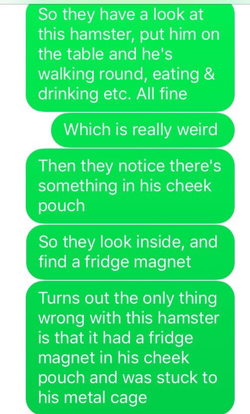 a little story about a magnet and a hamster