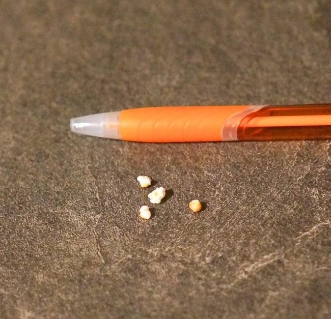 “My mom made the tiniest popcorn I’ve ever seen from bird seed.”