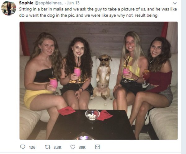 photo caption - Sophie Jun 13 05 Sitting in a bar in malia and we ask the guy to take a picture of us, and he was do u want the dog in the pic, and we were aye why not result being 126 12 30K