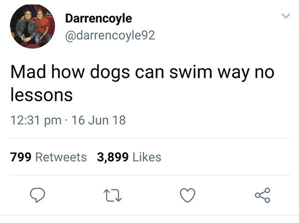 angle - Darrencoyle Mad how dogs can swim way no lessons 16 Jun 18 799 3,899 22