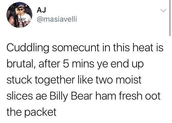 cia agent meme - Aj Cuddling somecunt in this heat is brutal, after 5 mins ye end up stuck together two moist slices ae Billy Bear ham fresh oot the packet