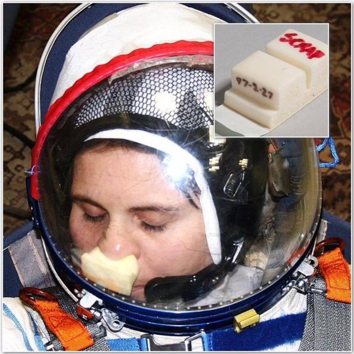 A device for scratching your nose in an astronaut spacesuit