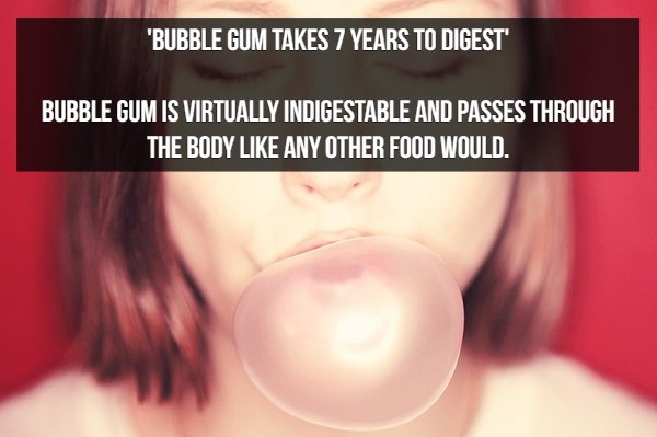 lip - "Bubble Gum Takes 7 Years To Digest Bubble Gum Is Virtually Indigestable And Passes Through The Body Any Other Food Would.