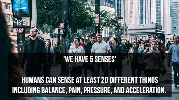 smart city people - Ro Hele Burn "We Have 5 Senses Humans Can Sense At Least 20 Different Things Including Balance, Pain, Pressure, And Acceleration.