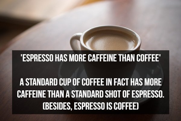 coffee cup - 'Espresso Has More Caffeine Than Coffee A Standard Cup Of Coffee In Fact Has More Caffeine Than A Standard Shot Of Espresso. Besides, Espresso Is Coffee