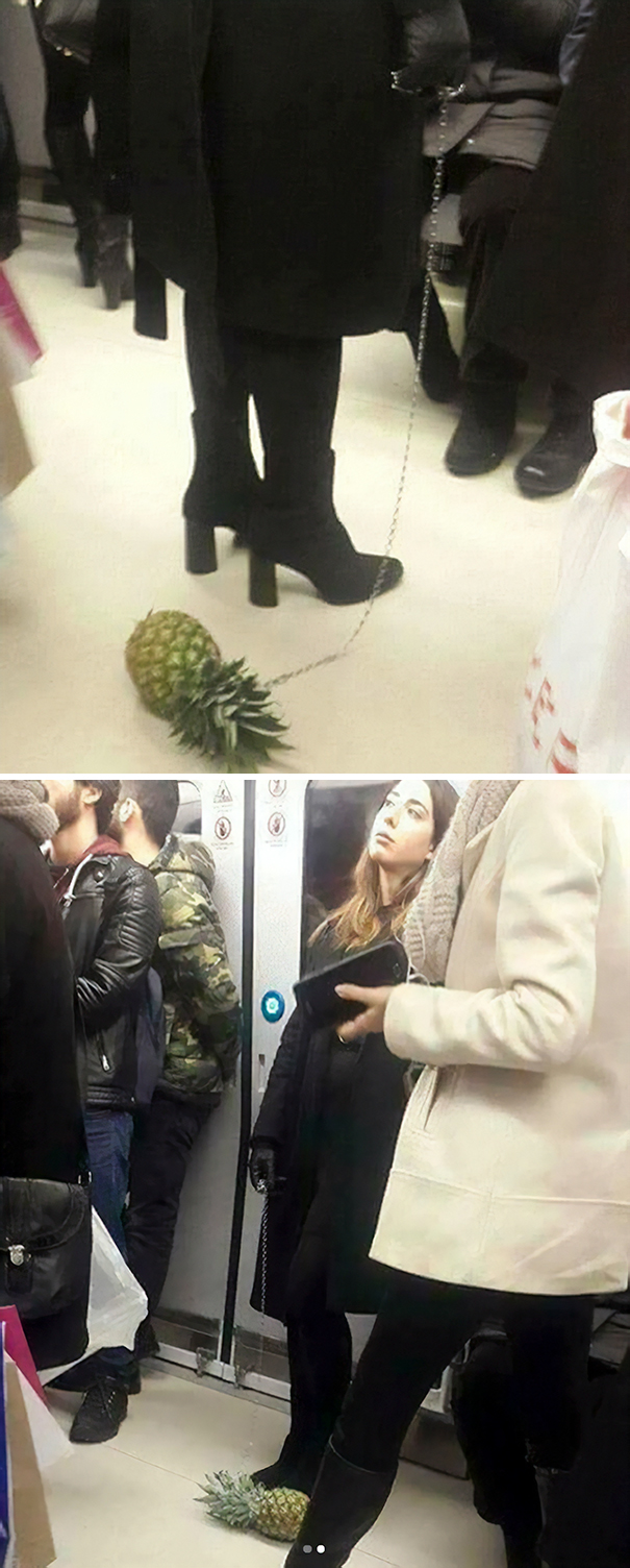 30 weird sights spotted on the subway