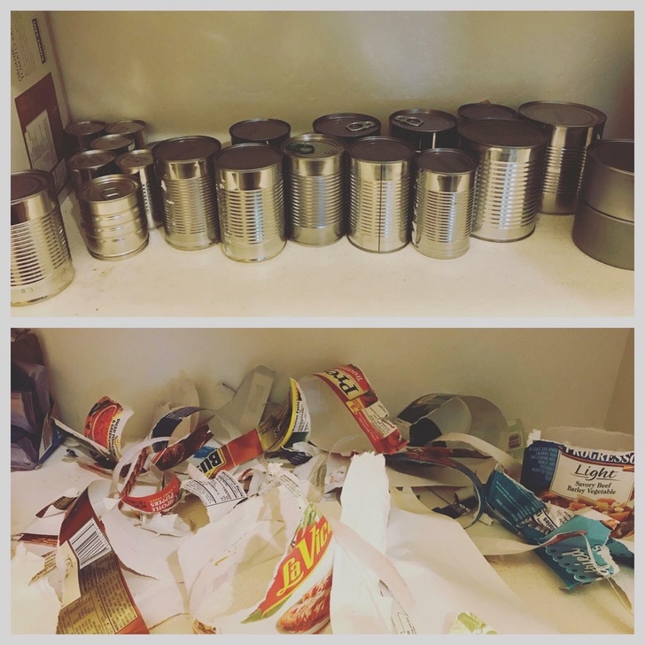 “My friend’s kid did this to their pantry.”