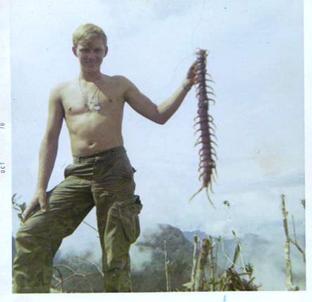 A man holding a giant centipede in Vietnam in 1968.