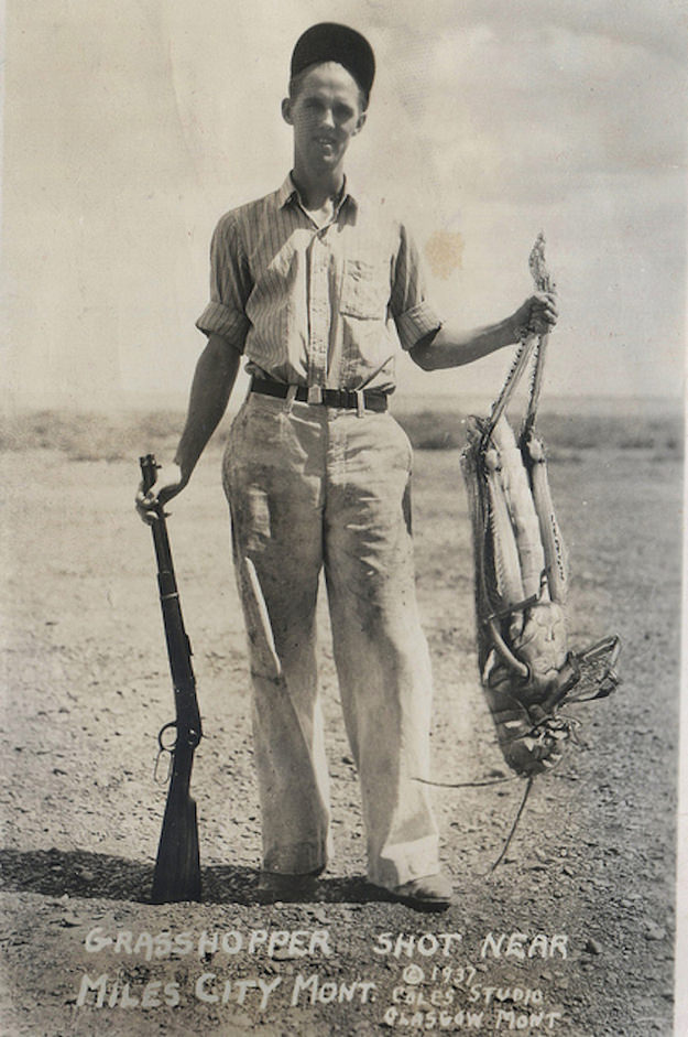 A man pictured with a large grasshopper he killed in North Dakota in 1937. This picture is an early example of photoshop and is in fact fake, but a well done fake.