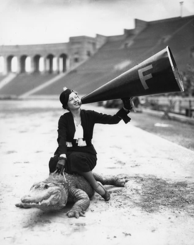 A woman riding the team mascot of the University of Florida (gators) for an American football game in 1934. Yes the gator is alive.