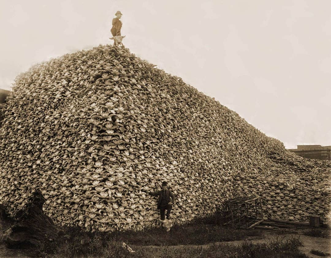 40,000 bison hides stacked in Dodge City in 1878.