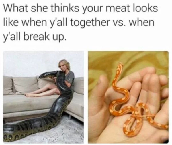 relationship meme of dick looks like memes What she thinks your meat looks when y'all together vs. when y'all break up.