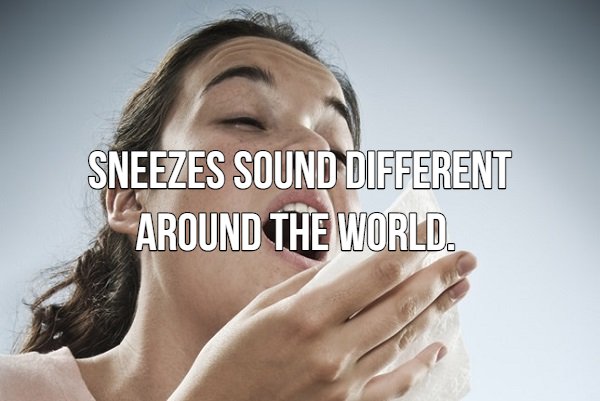 people sneezing - Sneezes Sound Different Around The World.