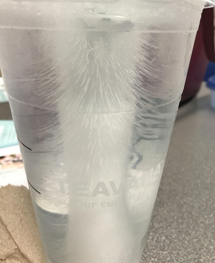 The way the water froze in this cup