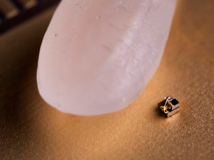 World’s smallest computer compared to a grain of rice