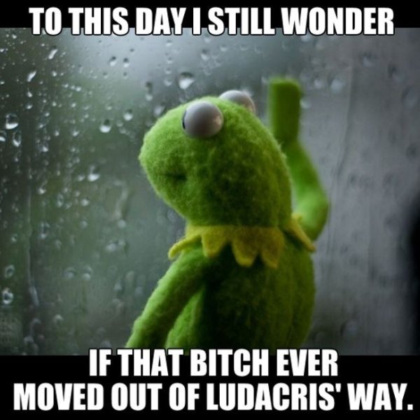 kermit ludacris meme - To This Day I Still Wonder If That Bitch Ever Moved Out Of Ludacris' Way.