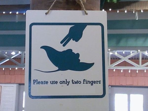 that's what she said signs - Please use only two fingers