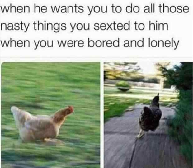 funny sex memes 2019 for her - when he wants you to do all those nasty things you sexted to him when you were bored and lonely