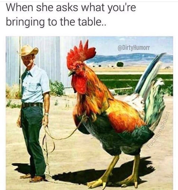 she asks what you re bringing - When she asks what you're bringing to the table.. FuckitimaRobo