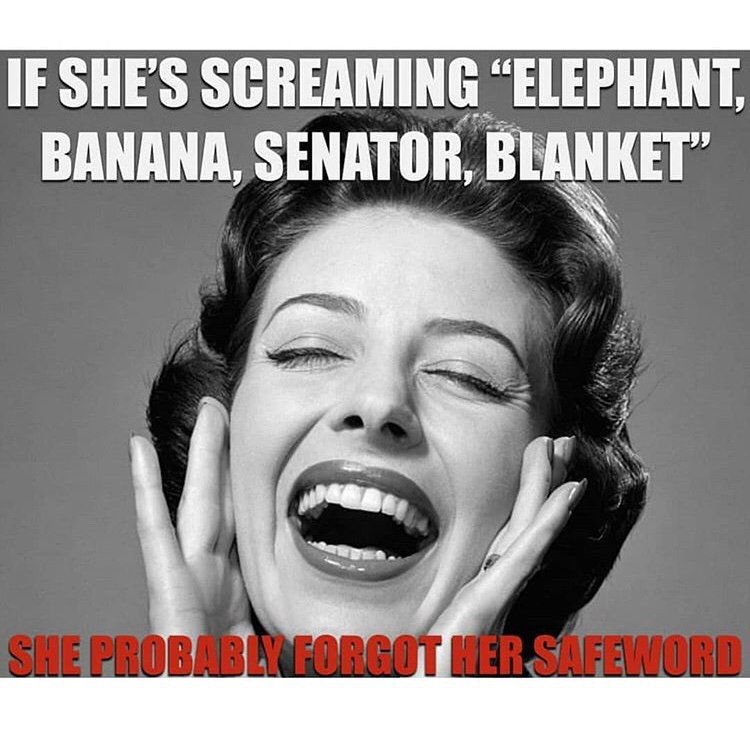 1950s woman smiling - If She'S Screaming Elephant, Banana, Senator, Blanket" She Probablyforgot Her Safeword