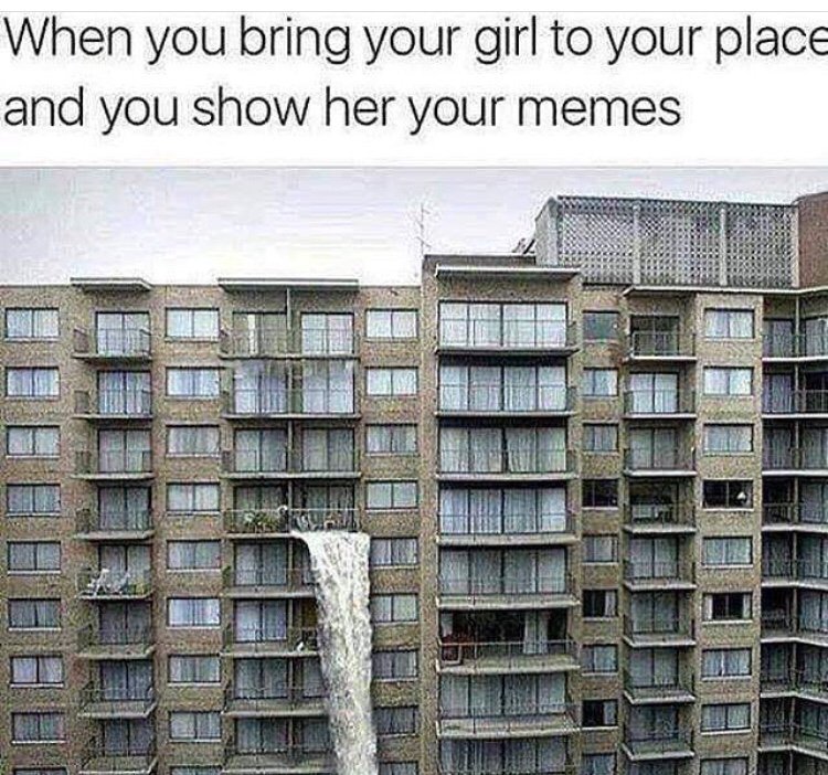 you show her your memes - When you bring your girl to your place and you show her your memes