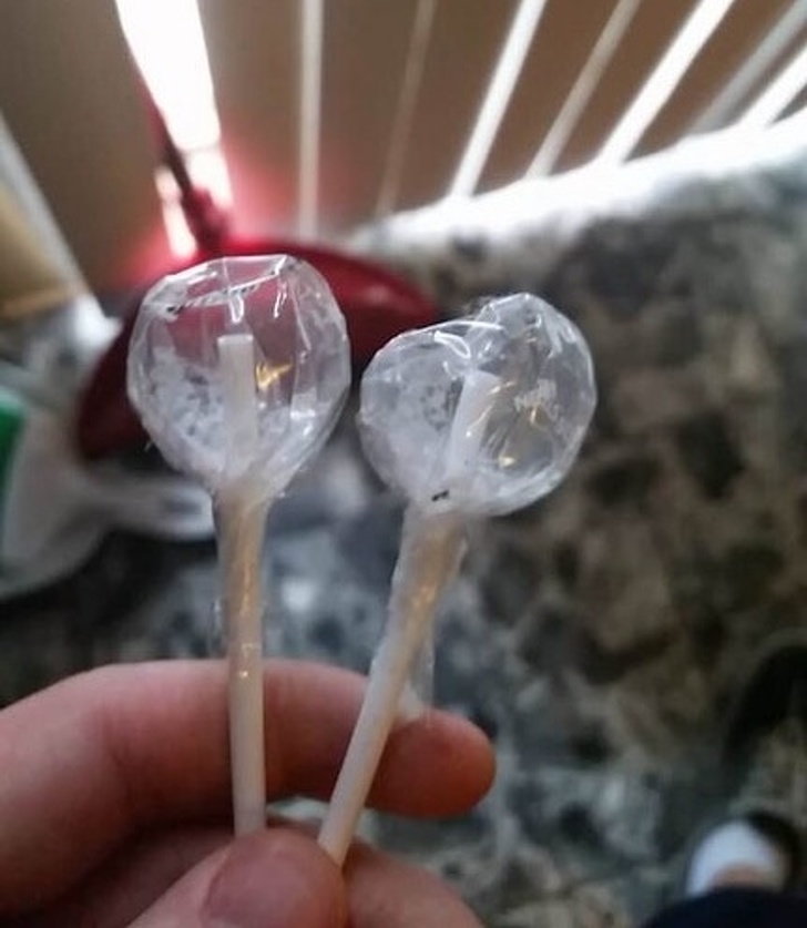 Ants ate the insides of these lollipops and left the wrapping in perfect condition.