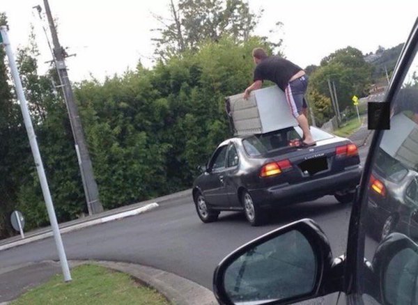 23 Darwin award winners