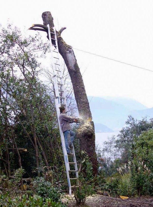 23 Darwin award winners