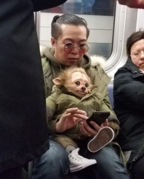 38 crazy sh*t seen on the subway