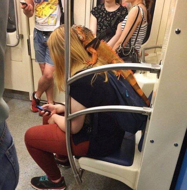 38 crazy sh*t seen on the subway