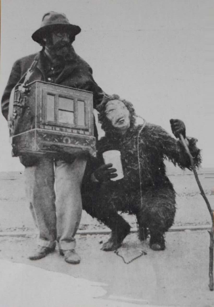 A musician and his "monkey" on the streets of Budapest, Hungary in 1905.