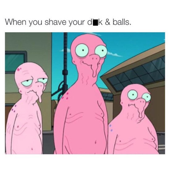 you shave your dick and balls - When you shave your dik & balls.