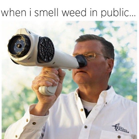 nasal ranger - when i smell weed in public...
