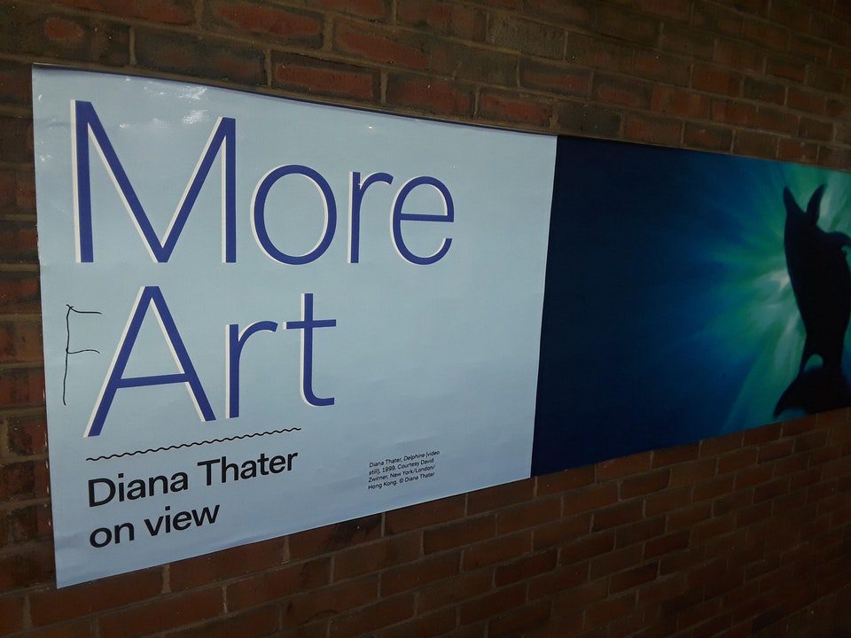 banner - I More Art Day The Delhi 1999 Carter Zame New York London Hong Kong, die Diana Thater on view