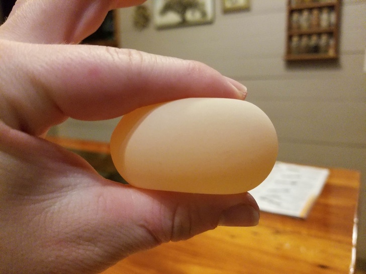 “Occasionally our chickens will lay an egg with no shell, just a soft membrane sack.”