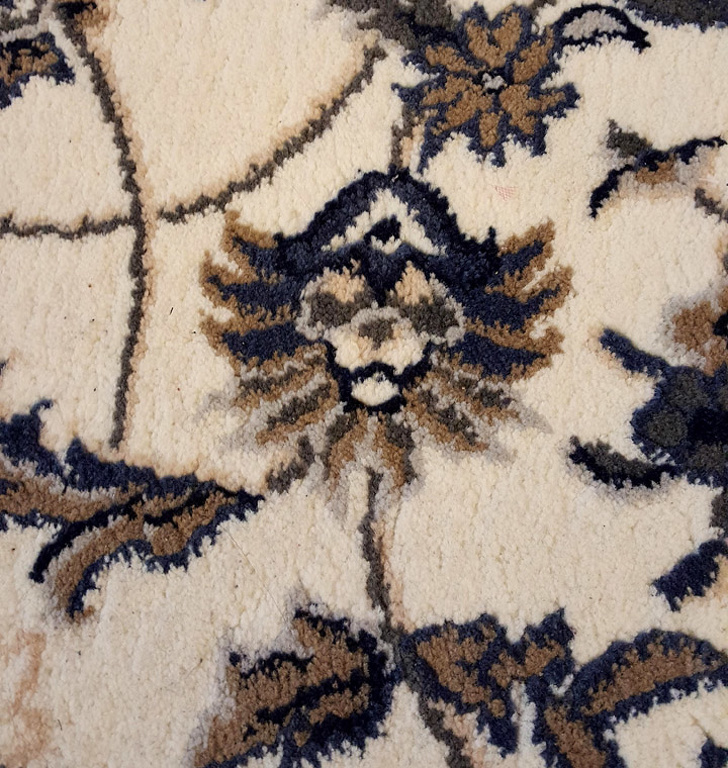 “My husband and I noticed a pirate lion in our Ikea rug...”