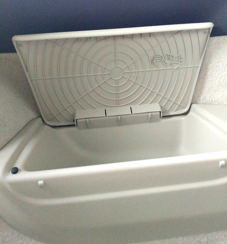 “A little spider hidden under the cover of a compartment in the trunk of a Volvo”