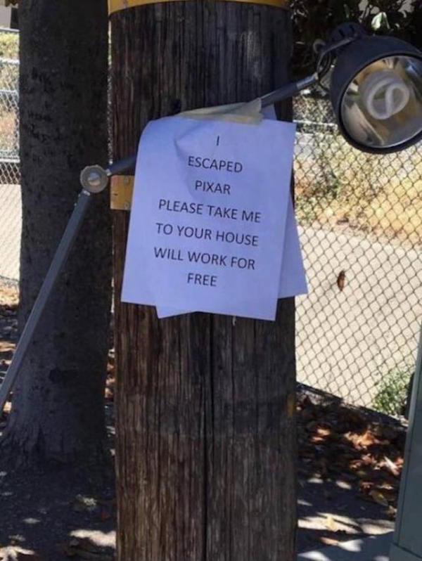 nailed it tree - Escaped Pixar Please Take Me To Your House Will Work For Free