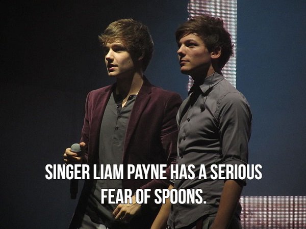 liam payne and louis tomlinson - Singer Liam Payne Has A Serious Fear Of Spoons.