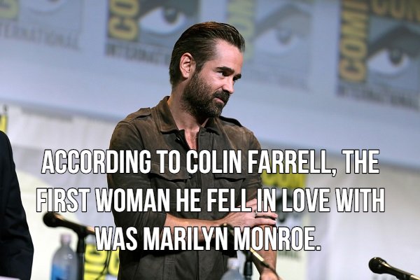 colin farrell fantastic beasts press - Ecom According To Colin Farrell, The First Woman He Fell In Love With Was Marilyn Monroe.