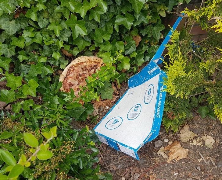 There could be no sadder picture than that of a pizza left in the wild.