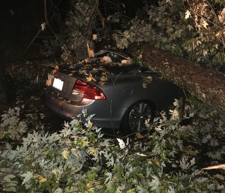 "Bought a new car on Friday for my wife. Saturday night a 50-ft-tall tree fell on it."